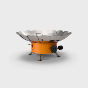 electric & Gas Stove